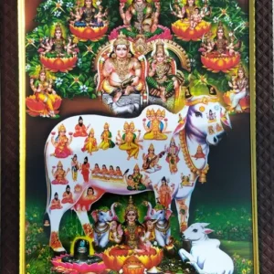 Kuber / Kubera / Kuberan with astalakshmi Asthalakshmi astalaxmi Gau Matha Photo frame