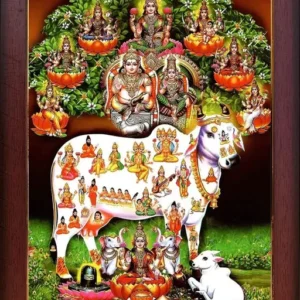 Shiva Parvati with Ganesh ji/Shiv parivar Photo Frame for Wall Hanging/Gift/Temple/puja Room/Home Decor Golden Frame with Laminated(6inchesx8inches) (Copy)