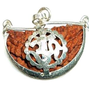 ASTRO CARE INDIA One face ek Mukhi Rudraksha Certified Original Nepali 1 Mukhi Kaju Rudraksh Natural one Faced Rudraksha Pendent (Brown) with Certificate  Amazon.in: Home & Kitchen