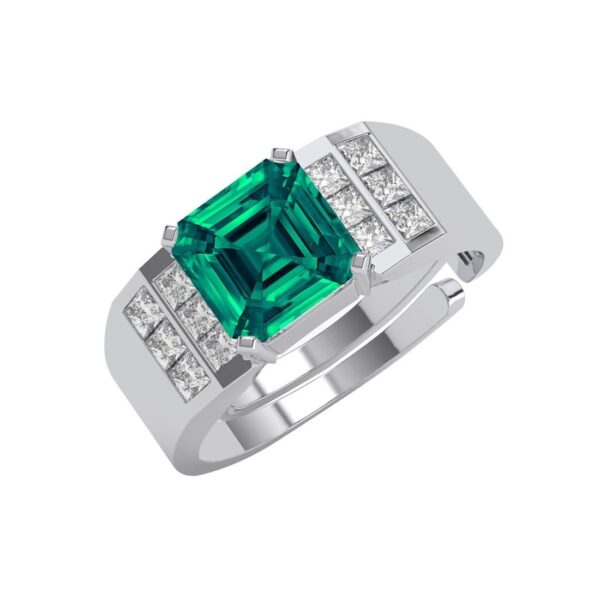 925 Sterling Silver Prince Men Ring |Size Adjustable, Platinum Plated, Swiss Zir | eBay