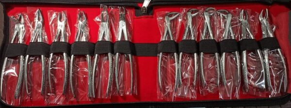 Quality Dental Forceps for Extraction of Tooth- Set of 12 Pcs | eBay - Image 2