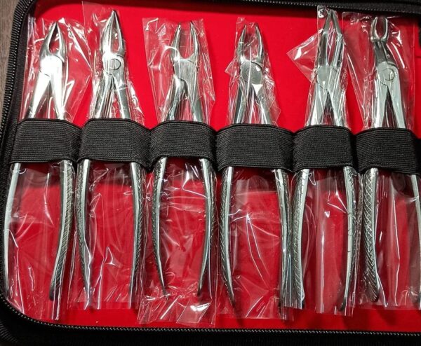 Quality Dental Forceps for Extraction of Tooth- Set of 12 Pcs | eBay - Image 3