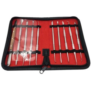 10 pcs Dental Lab Equipment Wax Carving Tools Set Carve Clay Tool Blade Surgical | eBay