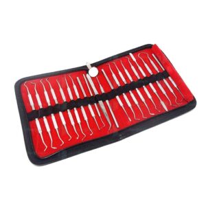 Dental Conservative Instrument Kit of 20 Instruments | eBay