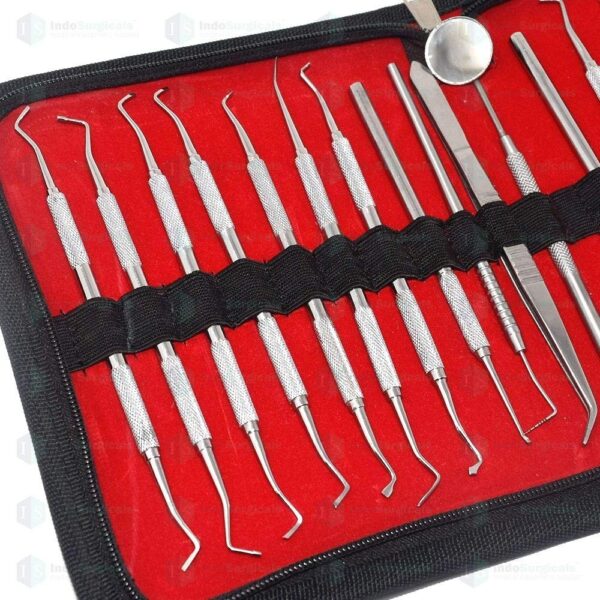 Dental Conservative Instrument Kit of 20 Instruments | eBay - Image 2