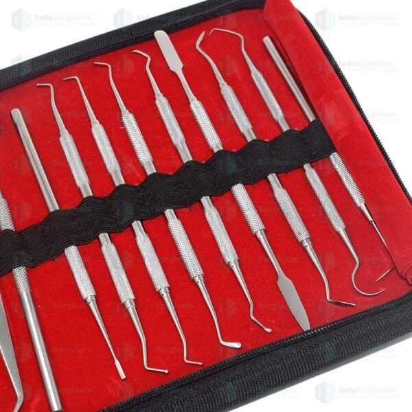 Dental Conservative Instrument Kit of 20 Instruments | eBay - Image 3