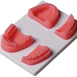 Dental Suture Practice Pad Model (Premium Quality) | eBay