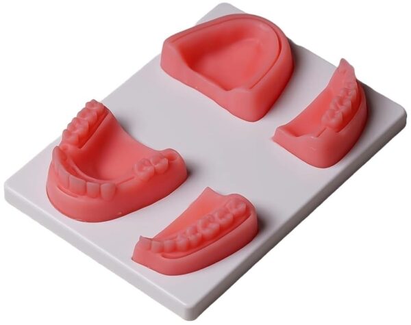 Dental Suture Practice Pad Model (Premium Quality) | eBay