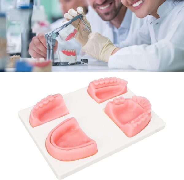Dental Suture Practice Pad Model (Premium Quality) | eBay - Image 2
