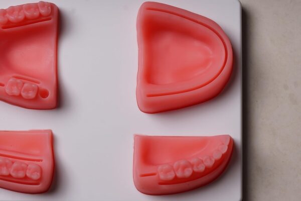 Dental Suture Practice Pad Model (Premium Quality) | eBay - Image 3