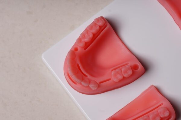 Dental Suture Practice Pad Model (Premium Quality) | eBay - Image 4