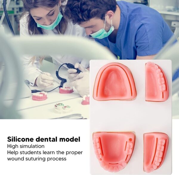 Dental Suture Practice Pad Model (Premium Quality) | eBay - Image 5