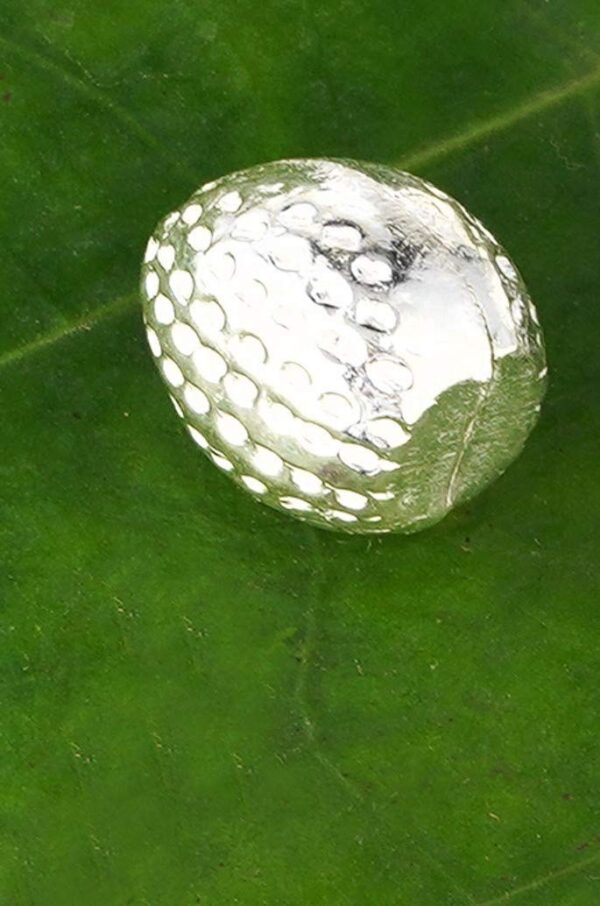 925 Sterling Silver Supari for Pooja, Mandir, Daan, Yagya, Hawan & Decoration | eBay - Image 4