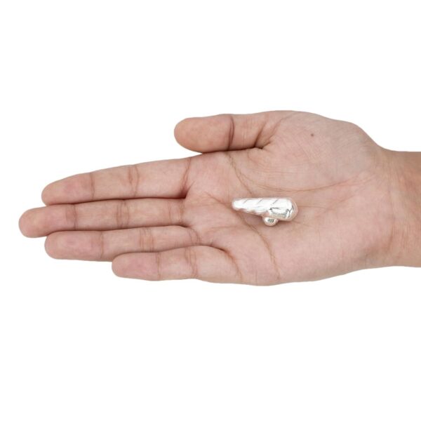 Pure Silver Turmeric, Haldi for Home Decor, Pooja, Gift Purpose & Donation | eBay - Image 2