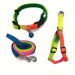 Poojavi Colourful Adjustable Nylon Puppy Leash Harness and Collar Combo, Suitable for Puppy 15 mm Multicolor (Collar + Harness + Leash) 01