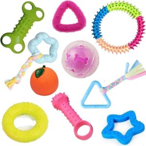 Poojavi Dog Chew Combo of 10pcs Rubber Ring, Teether,Dumble Teether & Latex Non-Toxic for Dog & Puppy (Color May Vary)