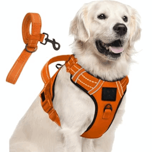 Poojavi Reflective Dog Vest Harness| Soft Breathable| Padded Handle| Adjustable Straps & Dual Lock Buckle| No-Choke Design with Free Leash-22mm Chest (28-35 inch) All Giant Breeds 35-60Kg