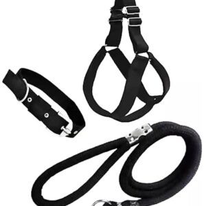 Poojavi No Pull Dog Harness - Step in Dog Harness and Leash for Small Medium Large Dog - Escape Proof Adjustable Soft Leash Collar Set for Walking Training Hiking Outdoor, 15 Cm, 15 Cm