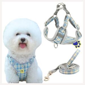 Poojavi Harness & Leash Set(Combo) for Cats, Puppies, Small Dogs with 2 Leash Points ? Escape Friendly | Night Safety | Reflective Strips |100% Cotton (XXS, Blue)
