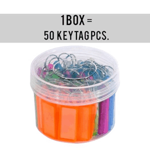 Tag Multicolor Keyring & Keychain With Name Tag Labels Assorted Keychain With Two Side Id Label And Split Ring For Office, Home Key -Plastic