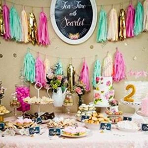 Tissue Paper Tassels Garland Wedding Home Decor Crafts for Birthday Decoration , Decoration for Weddings , Engagement , Baby Shower Decoration Items , 1st Birthday Party Decoration Items , Anniversary Party , Bachelors Party , Office Party , Diwali , New Year Party , Christmas Decoration Items - Pink & Green