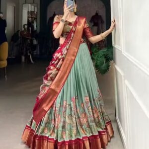 Gorgeous lengha choli