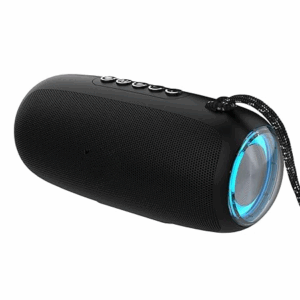 10W RMS Bluetooth Speaker with 2000 mAh Battery | Up to 8 hrs of Playback | RGB | Bluetooth 5.3, AUX in, USB & Micro SD Card Connectivity | Type-C Charging (Black