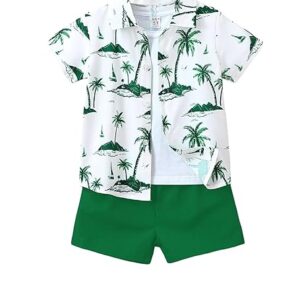 Boy clothing set || shirt And Shorts Set (DSS-44-46)