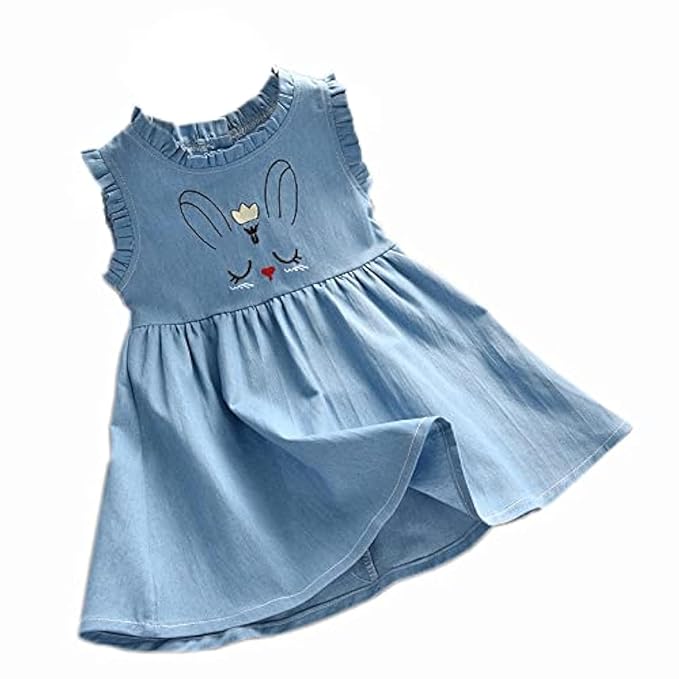 Cute Fashion Floral Embroidered Cotton Denim Casual Frocks Dress