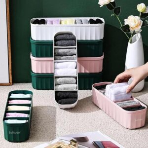 Innerwear Organizer for Socks, Undergarments, Makeup, Ties, Cosmetics, Scarves Organizer for Wardrobe Closet Storage Dividers for Household (2 Pcs, Multicolor)